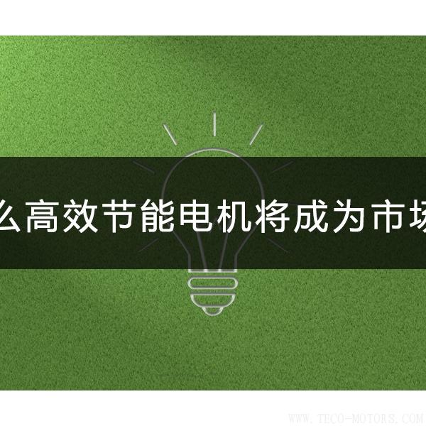 為什么高效節(jié)能電機將會成為市場主流 電機知識