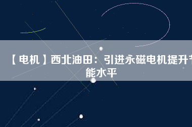 【電機】西北油田：引進永磁電機提升節(jié)能水平
          