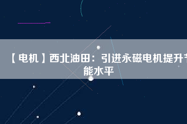 【電機】西北油田：引進永磁電機提升節(jié)能水平
          