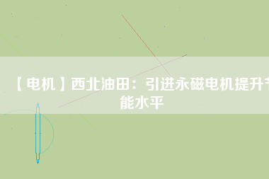 【電機】西北油田：引進永磁電機提升節(jié)能水平
          