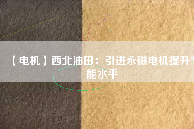 【電機】西北油田：引進永磁電機提升節(jié)能水平
          